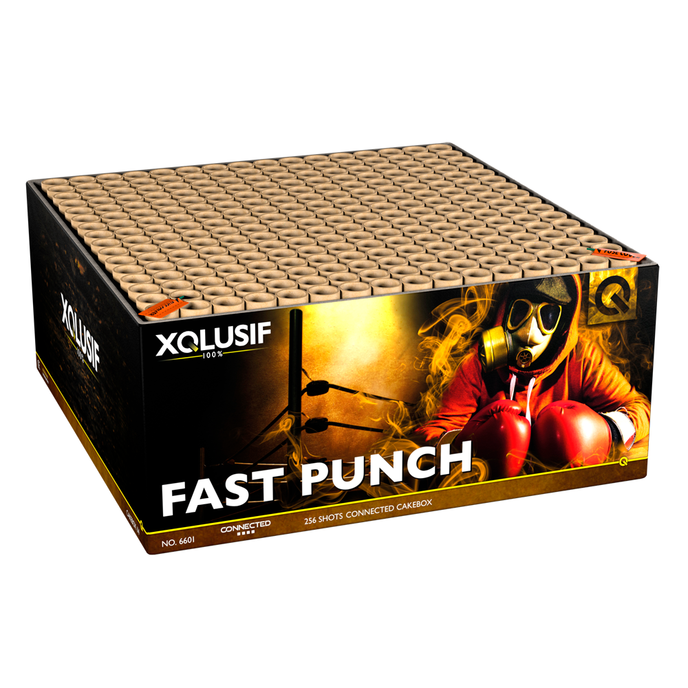 Lesli Fast Punch