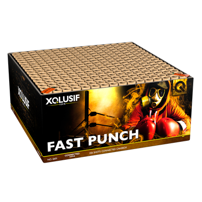Lesli Fast Punch