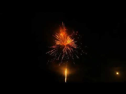 El Gato Fiesta Dorada