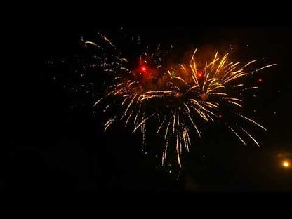 El Gato Fiesta Grande Especial