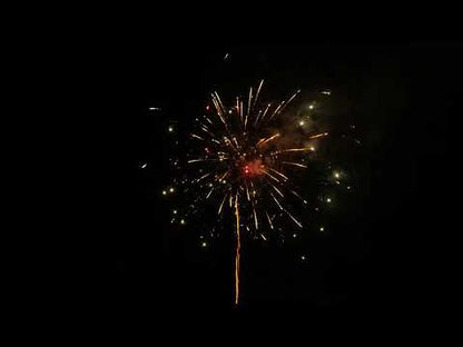 El Gato Fiesta de Cambio