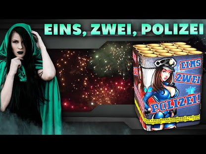 Lesli Eins, zwei, Polizei