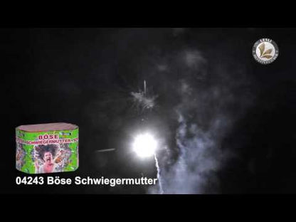 Lesli Böse Schwiegermutter