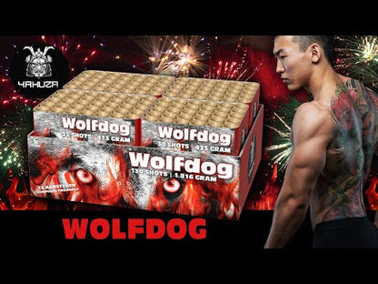 Lesli Wolfdog