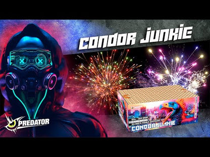 Lesli Condor Junkie